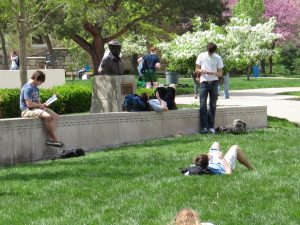Students studying and lounging in the quad