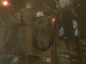 The infamous Mike Tavern’s moose head