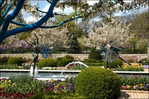 Plants and flowers change seasonally in the Ewing and Muriel Kauffman Memorial Gardens. The tulips, pictured above, cover the Parterre Garden during spring. Sculptured shrubs, such as the one in the right corner, can be found throughout the garden. 
