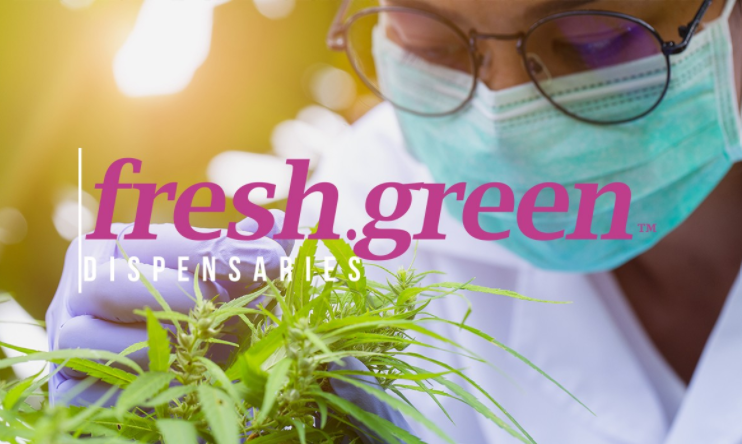 Scientists+wearing+a+mask+and+glasses+and+inspecting+a+cannabis+plant