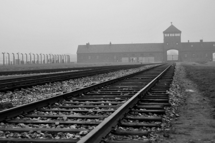 Review: Auschwitz. Not Long Ago. Not Far Away.
