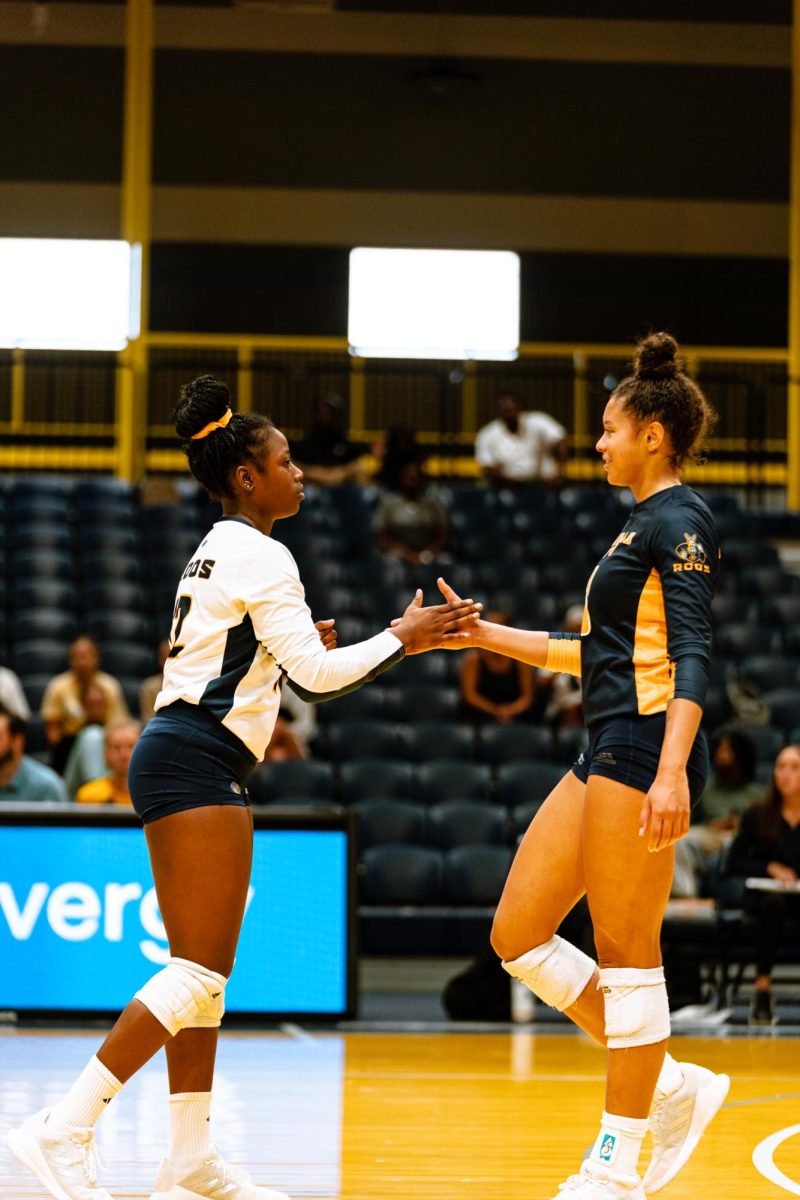 Roos Volleyball Takes on Summit League