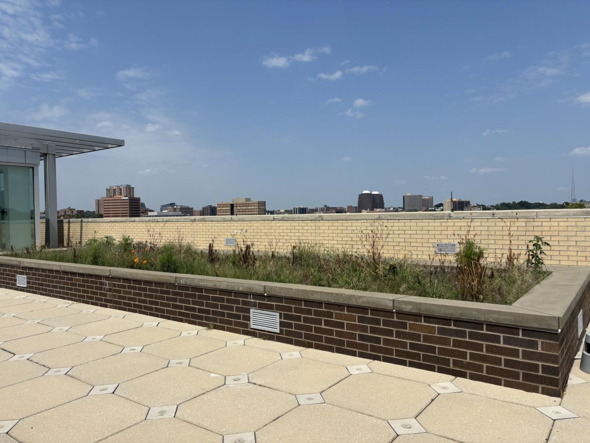 The garden beds on the roof of the Student Union.