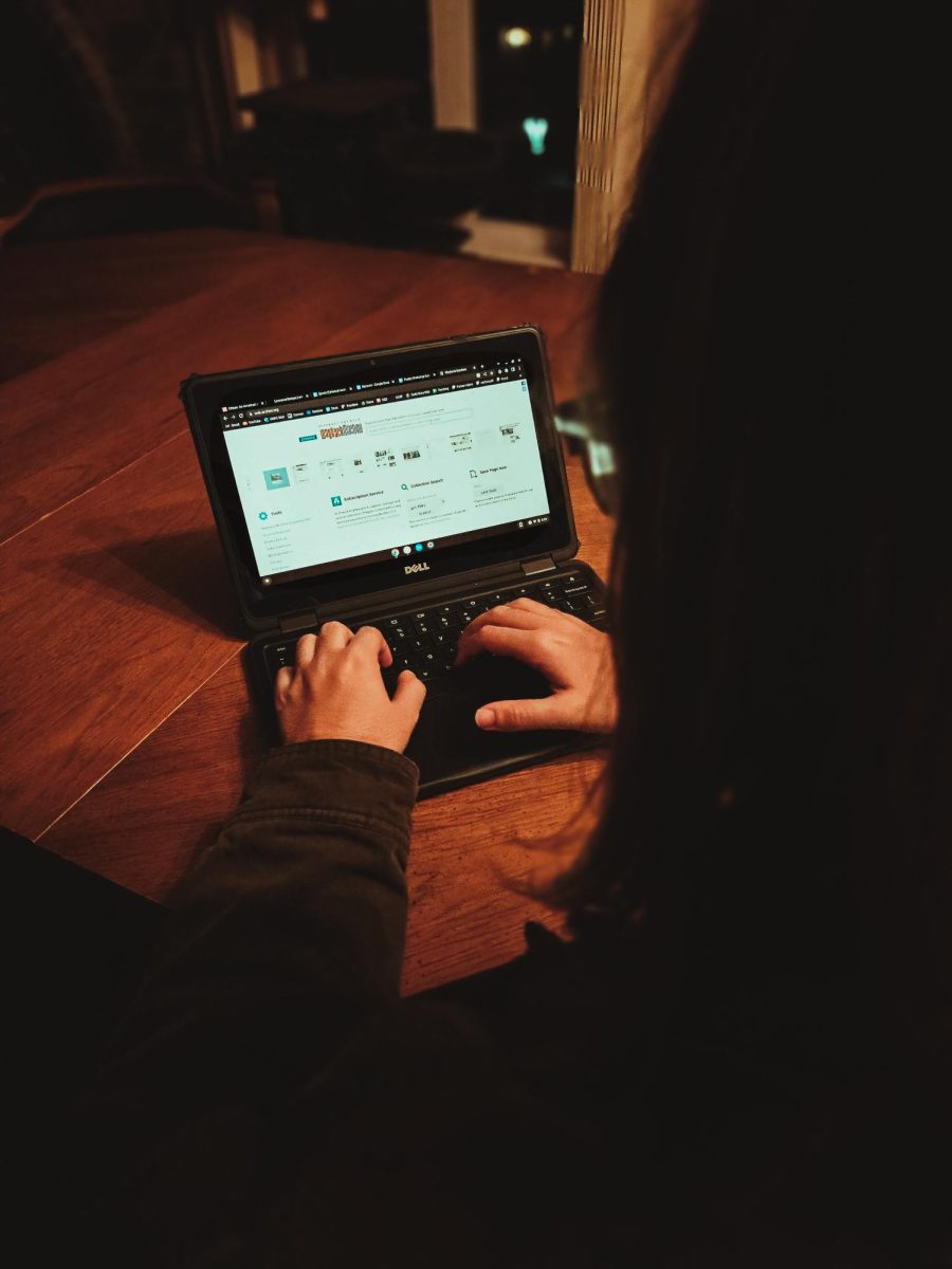 A student looking at The Internet Archive. 