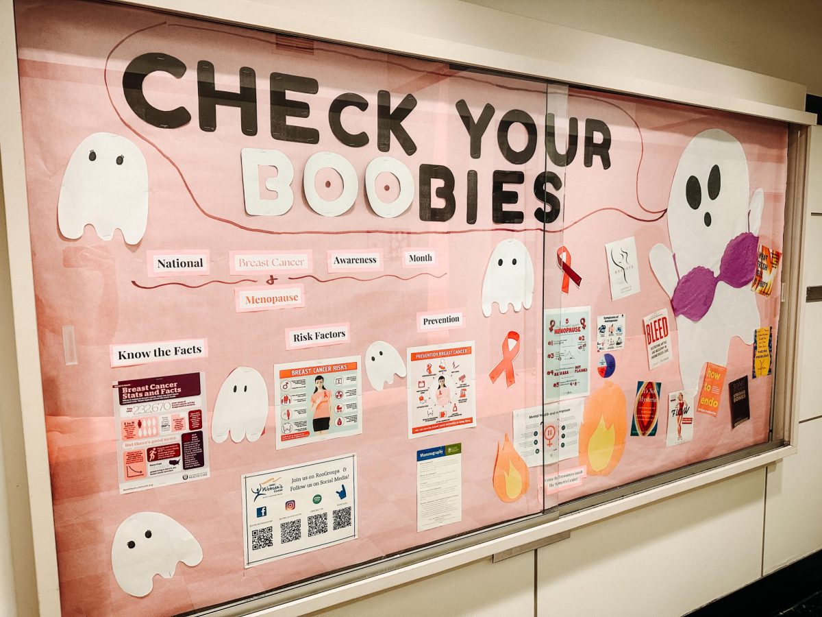 A display made by the Women's Center. 