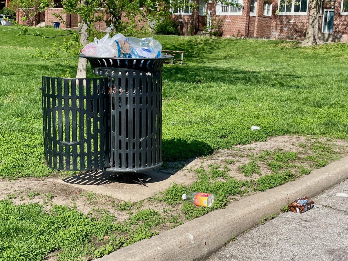Worries emerge over possible waste collection issues and litter amongst the influx of people from the World Cup this summer.