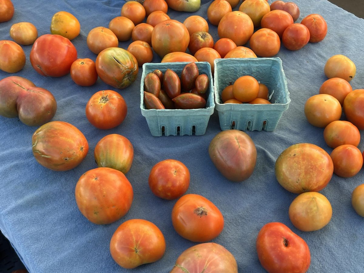 Elijah Gowin said his creative process coincides with his culinary experience, getting lost and responding to the moment. Similarly, the loose essence of “Food and Art” invites students to follow their intuition within their own process.