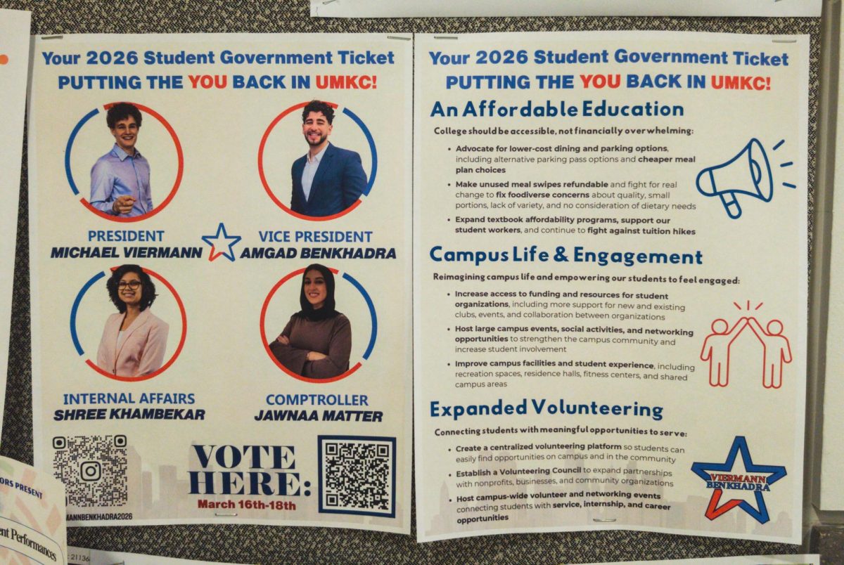Michael Viermann’s campaign flyers